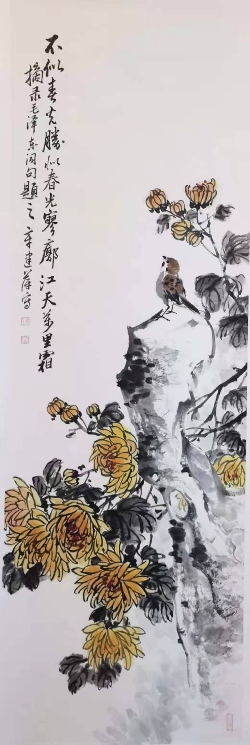 图片56.jpg